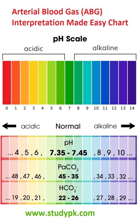 血液氣體分析目的|Arterial blood gas analysis 動脈血液氣體分析